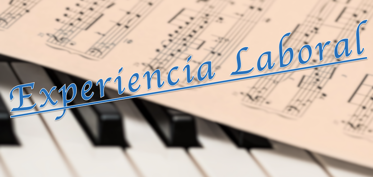 Experiencia Laboral
