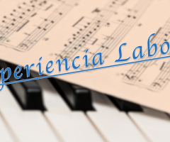 Experiencia Laboral