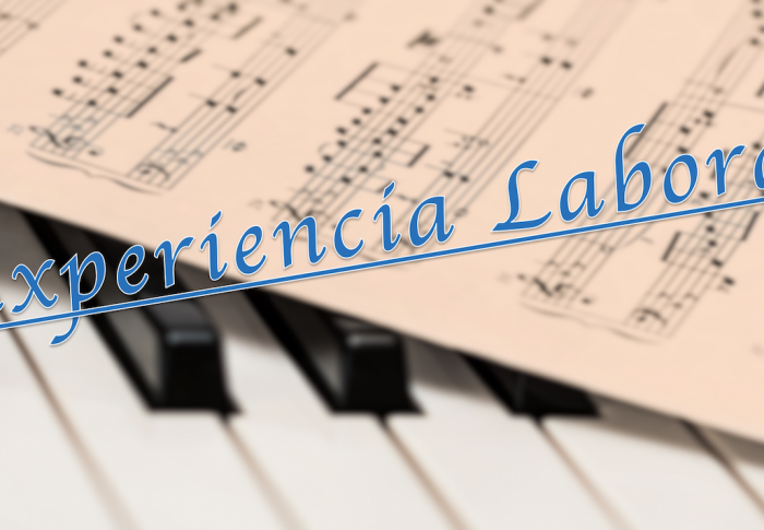Experiencia Laboral